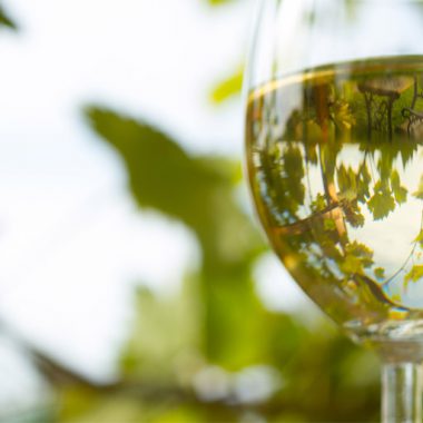The Wine Business – Let's Keep it Real - wine glass with white wine and trees in background