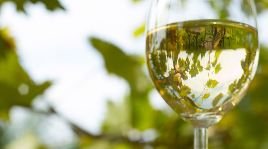 The Wine Business – Let's Keep it Real - wine glass with white wine and trees in background