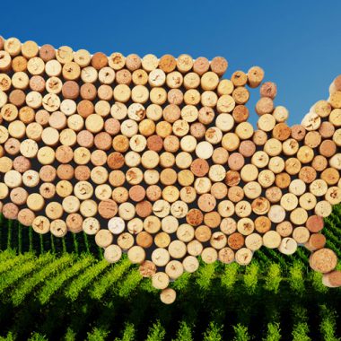 All About AVAs (American Viticultural Areas)