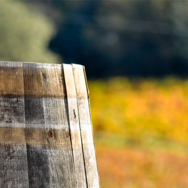 Oak Alternatives in Winemaking