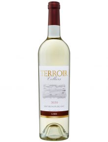 Terroir Cellars 2020 Lodi Sauvignon Blanc