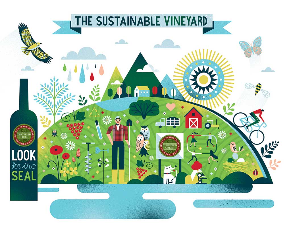 sustainable vineyard infographic